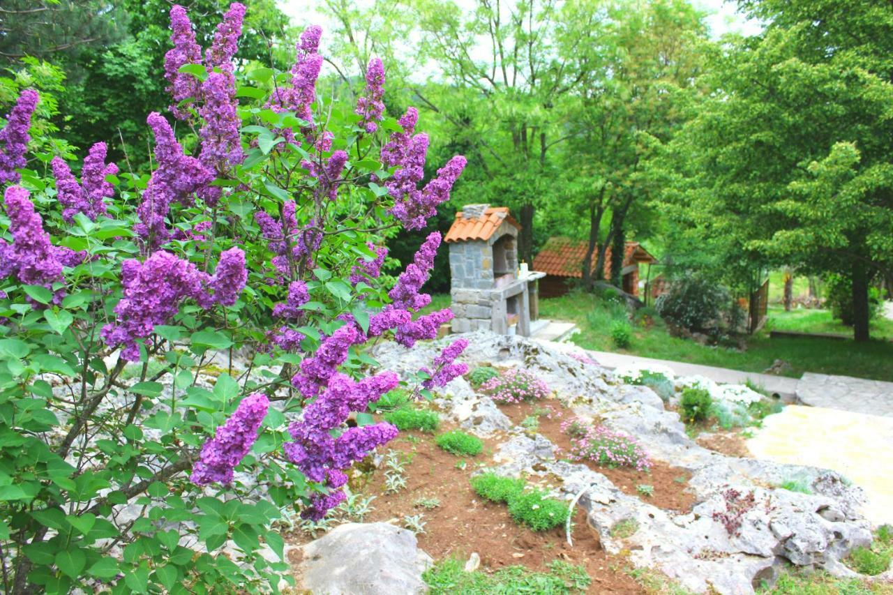Holiday Home Deni Roč Exteriér fotografie